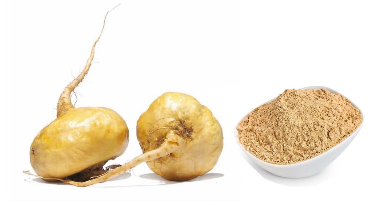 Graines de pavot du Pérou dans le cadre du produit